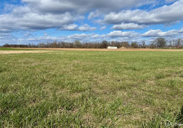 Photo 3 of Land for sale at 2215 State Hwy U, Sikeston, MO 63801 | MLS# MIS26015337 | Listing updated on 2026-09-16