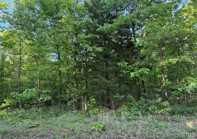 Photo 3 of Land for sale at Tract 5 Carter 327, Ellsinore, MO 63937 | MLS# MIS26025726 | Listing updated on 2026-09-25