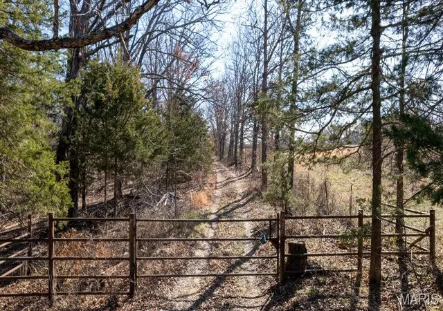Photo 3 of Land for sale at 1 State Hwy 38, Elkland, MO 65644 | MLS# MIS26037189 | Listing updated on 2026-10-05