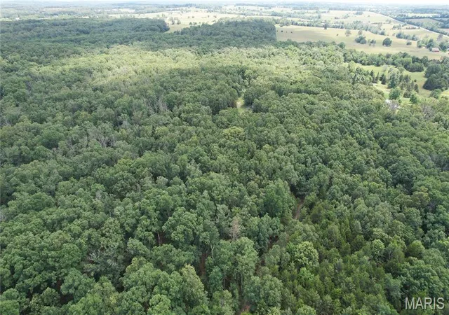 Photo 3 of Land for sale at 1 State Hwy 38, Elkland, MO 65644 | MLS# MIS26037189 | Listing updated on 2026-10-05