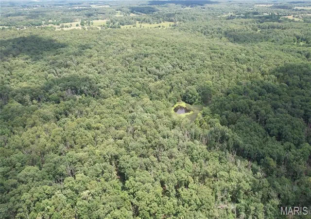 Photo 4 of Land for sale at 1 State Hwy 38, Elkland, MO 65644 | MLS# MIS26037189 | Listing updated on 2026-10-05