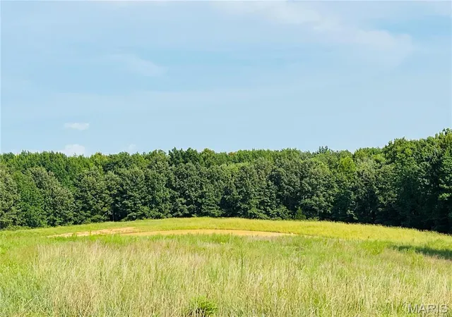 Photo 3 of Sale Pending at 0 Hwy W, Advance, MO 63730 | MLS# MIS26052241 | Listing updated on 2026-09-22