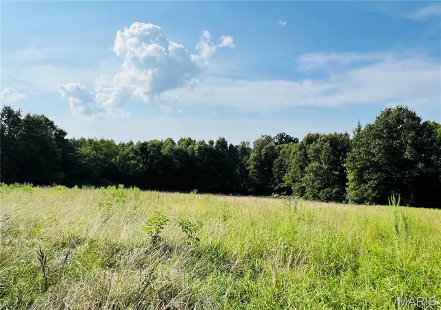 Land for sale at 0 County Road 646, Advance, MO 63730 | MLS# MIS26052250