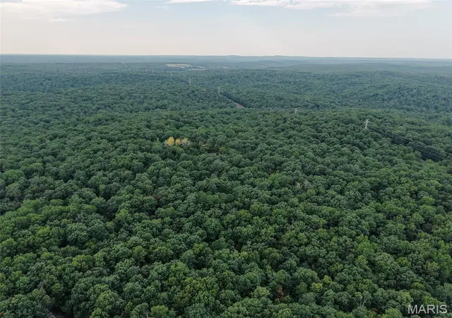 Photo 2 of Land for sale at 25096 +/  Delbridge Rd, Potosi, MO 63664 | MLS# MIS26059539 | Listing updated on 2026-09-17