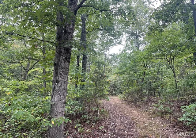 Photo 1 of Land for sale at X Cr 339, Piedmont, MO 63957 | MLS# MIS26059870 | Listing updated on 2026-09-17