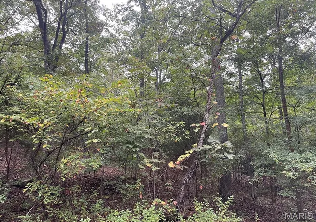 Photo 2 of Land for sale at X Cr 339, Piedmont, MO 63957 | MLS# MIS26059870 | Listing updated on 2026-09-17