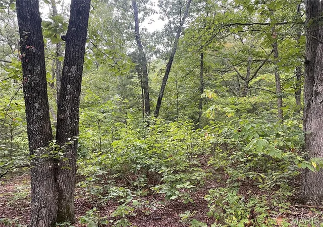 Photo 3 of Land for sale at X Cr 339, Piedmont, MO 63957 | MLS# MIS26059870 | Listing updated on 2026-09-17