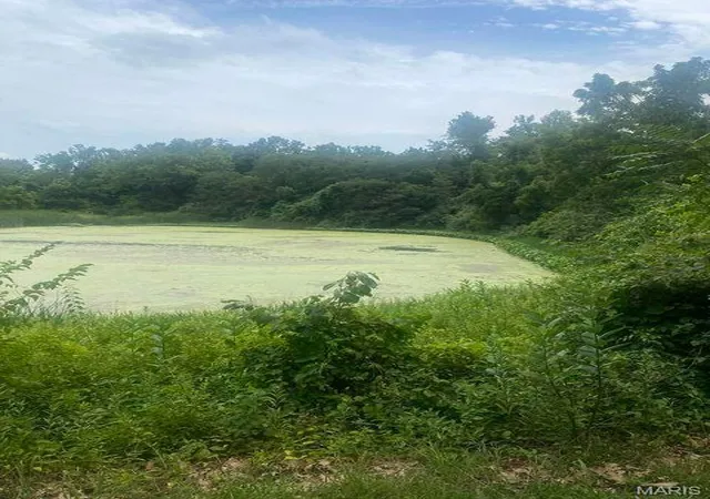 Photo 2 of Land for sale at 4625 Parker Rd, Black Jack, MO 63033 | MLS# MIS26059915 | Listing updated on 2026-09-16