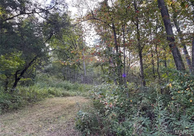 Land for sale at 3240 Highway O, Cuba, MO 65453 | MLS# MIS26059950