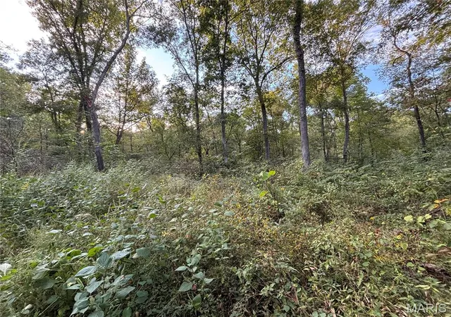 Photo 2 of Land for sale at 3240 Highway O, Cuba, MO 65453 | MLS# MIS26059950 | Listing updated on 2026-10-07