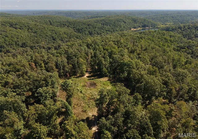 Land for sale at 000 Coldwater Creek_lot 2, Womack, MO 63645 | MLS# MIS26059978