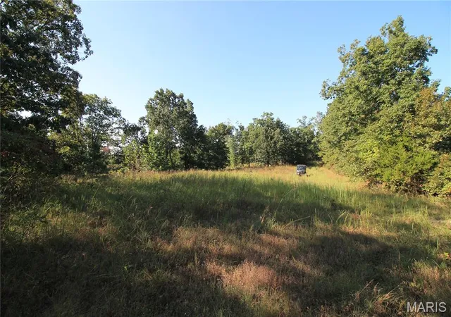 Photo 3 of Land for sale at 000 Coldwater Creek Lot 2, Womack, MO 63645 | MLS# MIS26059978 | Listing updated on 2026-09-16