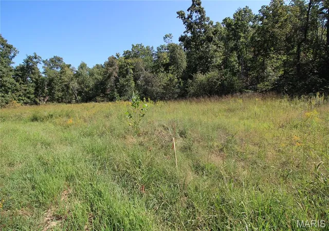 Photo 3 of Land for sale at 000 Coldwater Creek_lot 2, Womack, MO 63645 | MLS# MIS26059978 | Listing updated on 2026-09-16