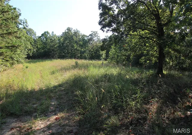 Photo 4 of Land for sale at 000 Coldwater Creek_lot 2, Womack, MO 63645 | MLS# MIS26059978 | Listing updated on 2026-09-16