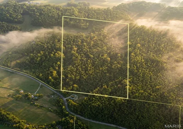 Photo 3 of Land for sale at 000 State Hwy O, Ellington, MO 63638 | MLS# MIS26060091 | Listing updated on 2026-09-17