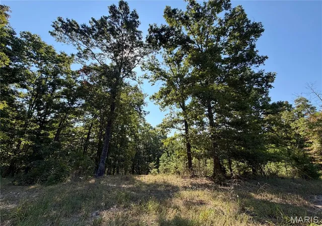 Photo 3 of Land for sale at 0 County Rd 502, Ellington, MO 63638 | MLS# MIS26060223 | Listing updated on 2026-09-17