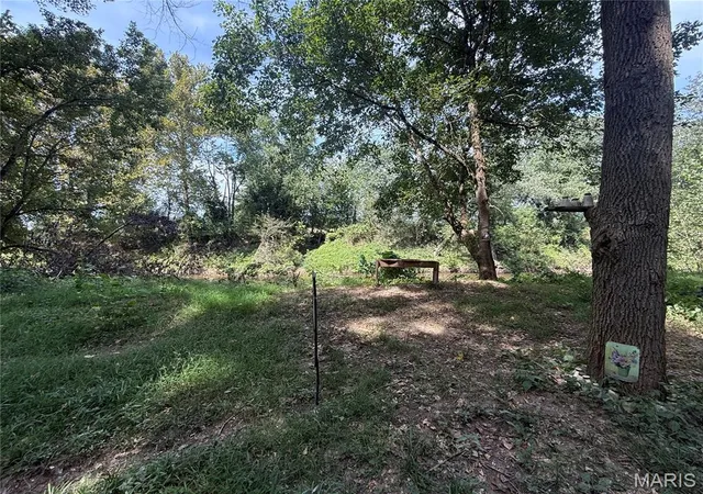 Photo 1 of Land for sale at 0 Rivertrail Rd, New Florence, MO 63363 | MLS# MIS26060233 | Listing updated on 2026-09-17