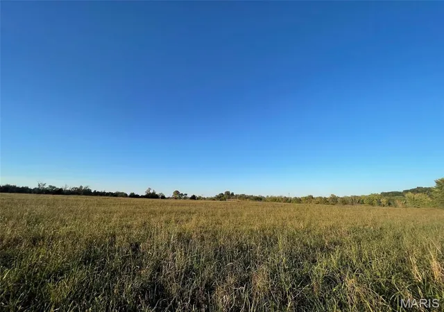Photo 4 of Land for sale at 0 10189 Acres Off Madison 534, Fredericktown, MO 63645 | MLS# MIS26060266 | Listing updated on 2026-09-17