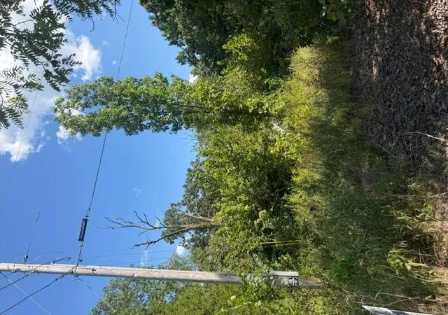 Photo 3 of Land for sale at 0 Edwards Rd, Hermann, MO 65041 | MLS# MIS26060268 | Listing updated on 2026-09-18