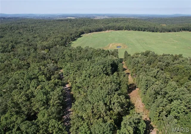 Photo 1 of Land for sale at Off County Rd 219, Fredericktown, MO 63645 | MLS# MIS26060312 | Listing updated on 2026-09-17