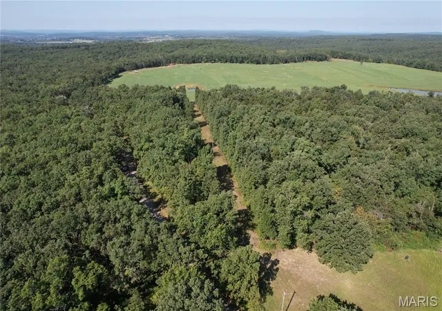 Photo 2 of Land for sale at Off County Rd 219, Fredericktown, MO 63645 | MLS# MIS26060312 | Listing updated on 2026-09-17