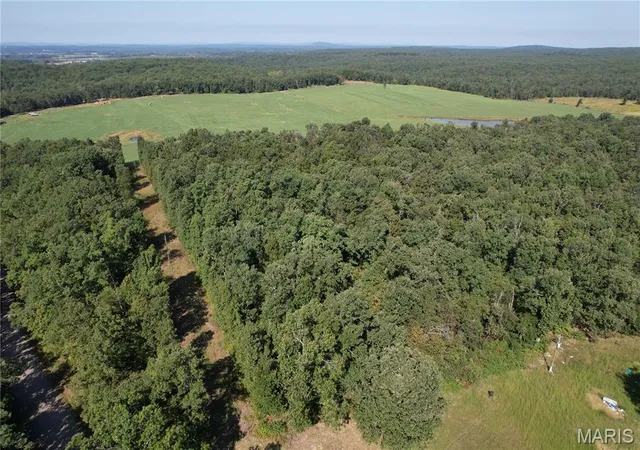 Photo 3 of Land for sale at Off County Rd 219, Fredericktown, MO 63645 | MLS# MIS26060312 | Listing updated on 2026-09-17
