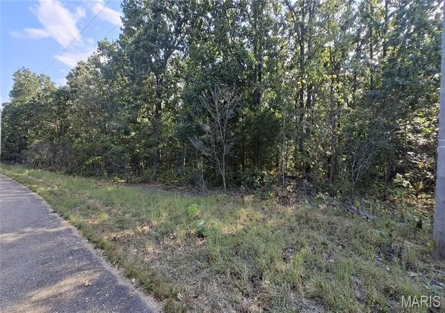 Photo 3 of Land for sale at 00 Oak Ridge Dr, Bonne Terre, MO 63628 | MLS# MIS26060335 | Listing updated on 2026-09-17