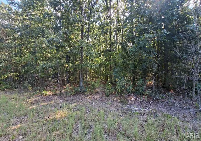Photo 3 of Land for sale at 00 Oak Ridge Dr, Bonne Terre, MO 63628 | MLS# MIS26060335 | Listing updated on 2026-09-17