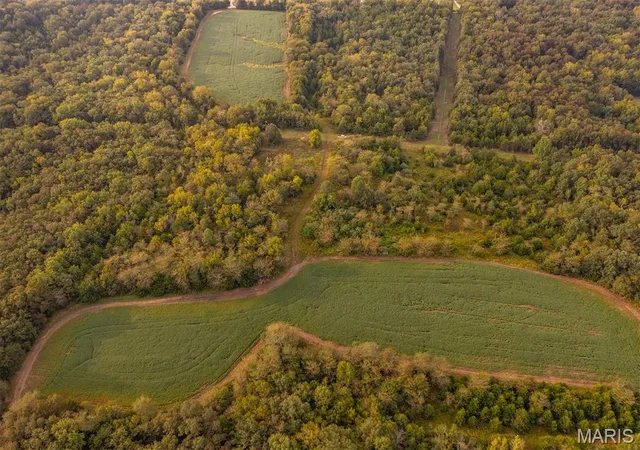 Photo 3 of Land for sale at 00 Abbott Rd, Bellflower, MO 63333 | MLS# MIS26060337 | Listing updated on 2026-09-17