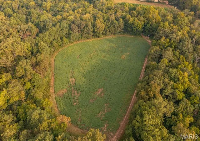 Photo 4 of Land for sale at 00 Abbott Rd, Bellflower, MO 63333 | MLS# MIS26060337 | Listing updated on 2026-09-17