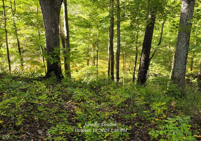 Photo 43 of Sale Pending at 11182 S County Rd 280 W, Westport, IN 47283 | MLS# 22066812 | Listing updated on 2026-09-28