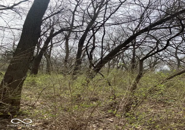 Photo 2 of Land for sale at 2509 E 80th Street, Indianapolis, IN 46240 | MLS# 22089218 | Listing updated on 2026-09-17