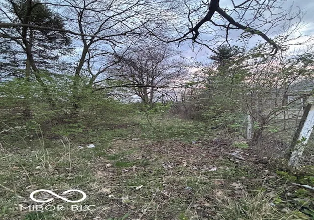 Land for sale at 3262 N Emerson Ave, Indianapolis, IN 46218 | MLS# 22092670