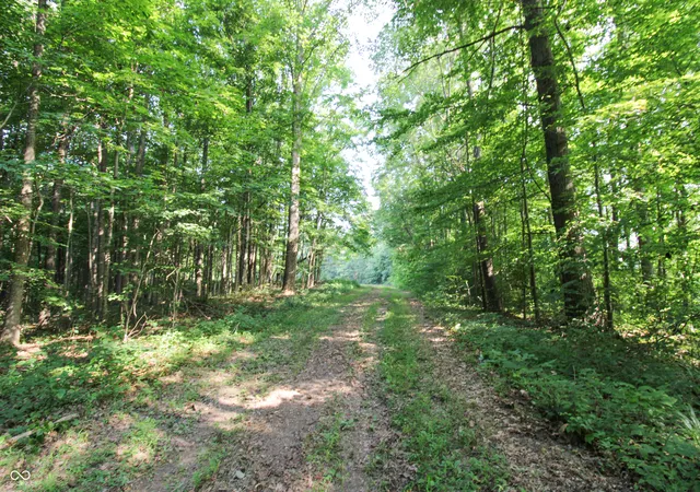 Photo 3 of Land for sale at 0 S County Rd 650 E, Butlerville, IN 47223 | MLS# 22111265 | Listing updated on 2026-09-17