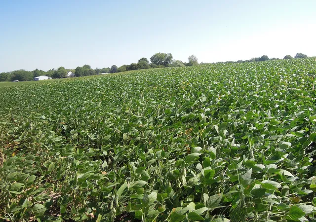 Photo 3 of Land for sale at 0 State Rd 39, Danville, IN 46122 | MLS# 22124478 | Listing updated on 2026-09-08