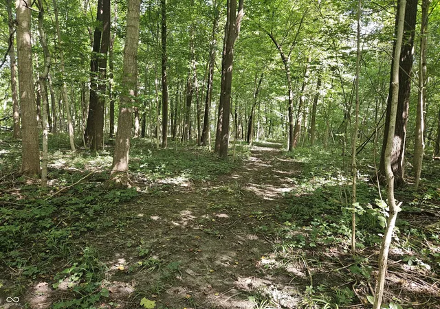 Photo 4 of Land for sale at 4078 E Street Rd 28, Tipton, IN 46072 | MLS# 22125701 | Listing updated on 2026-10-09