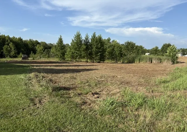 Photo 3 of Sale Pending at 000 Lavern Rd, De Soto, IL 62924 | MLS# 12551818 | Listing updated on 2026-09-08
