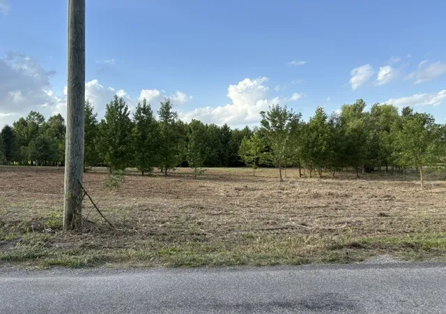 Photo 4 of Sale Pending at 000 Lavern Rd, De Soto, IL 62924 | MLS# 12551818 | Listing updated on 2026-09-08