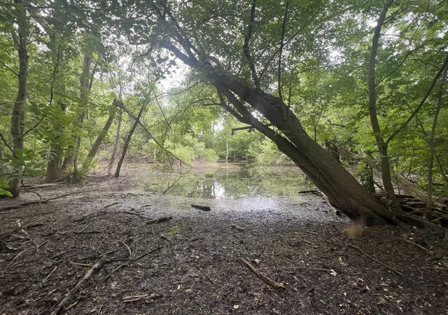 Photo 1 of Land for sale at 4s015 Rigi Rd, Warrenville, IL 60563 | MLS# 12670704 | Listing updated on 2026-09-17