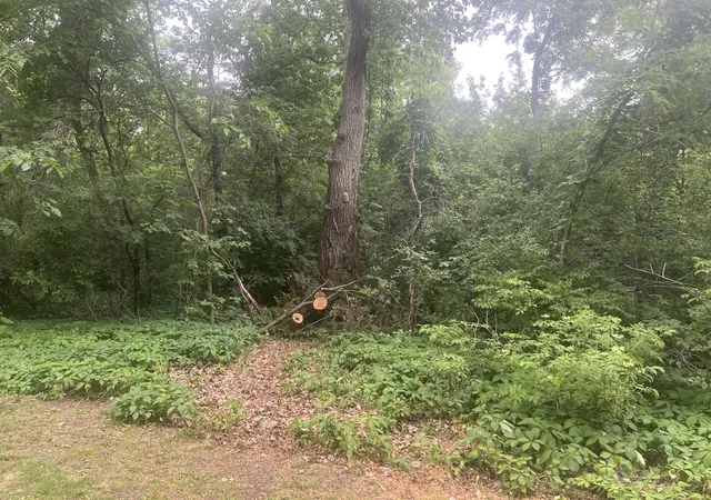 Photo 2 of Land for sale at 4s015 Rigi Rd, Warrenville, IL 60563 | MLS# 12670704 | Listing updated on 2026-09-17
