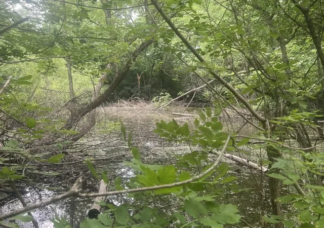 Photo 3 of Land for sale at 4s015 Rigi Rd, Warrenville, IL 60563 | MLS# 12670704 | Listing updated on 2026-09-17
