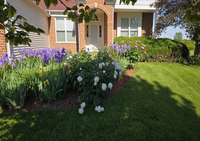 Photo 2 of Single family home for sale at 11819 Wolf Crk Ln, Plainfield, IL 60585 | MLS# 12731001 | Listing updated on 2026-09-16