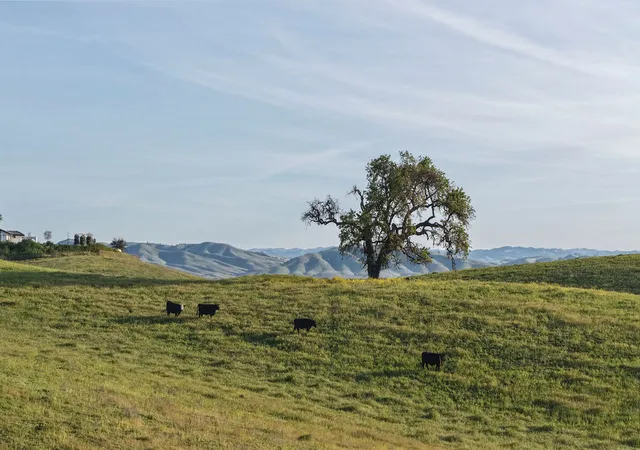 Photo 3 of Single family home for sale at 35 Wellsona Rd, Paso Robles, CA 93446 | MLS# 12762960 | Listing updated on 2026-09-23