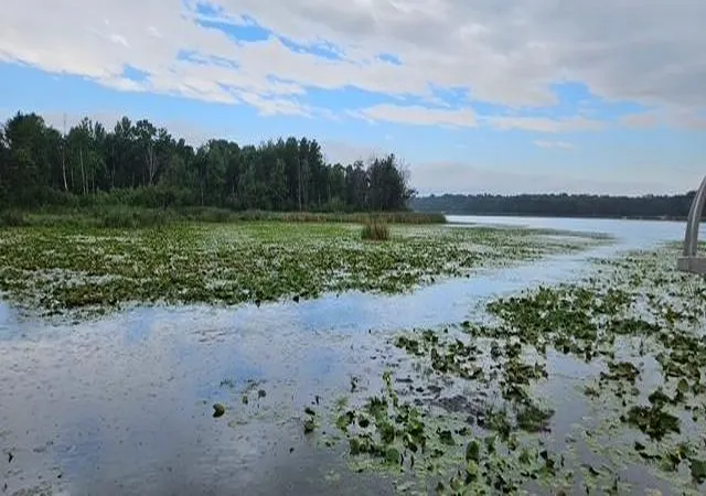 Land for sale at Xxxx Forthun Rd, Baxter, MN 56425 | MLS# 6760648