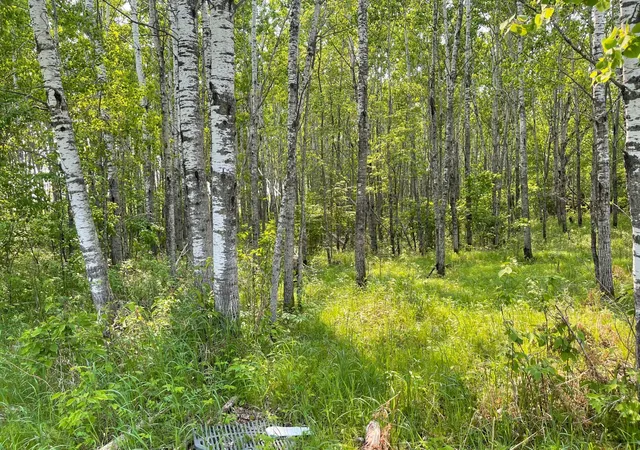 Photo 3 of Land for sale at 8017 N Savanna Rd, Floodwood, MN 55736 | MLS# 6823662 | Listing updated on 2026-09-09