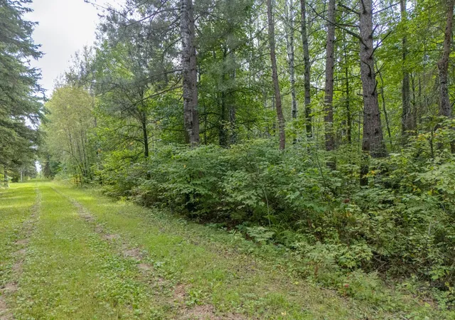 Photo 2 of Land for sale at Tbd Town Rd, Big Falls, MN 56627 | MLS# 7032979 | Listing updated on 2026-09-12