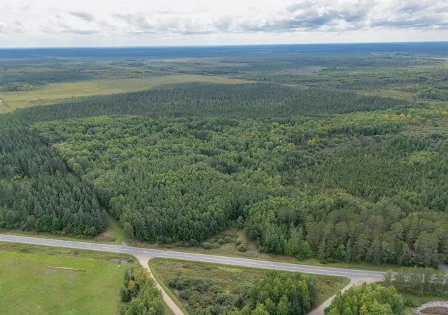 Photo 4 of Land for sale at Tbd Town Rd, Big Falls, MN 56627 | MLS# 7032979 | Listing updated on 2026-09-12