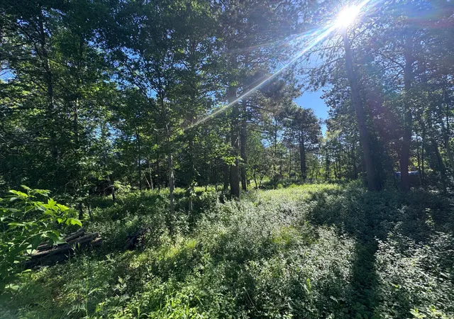 Photo 3 of Sale Pending at Tbd Franklin Ave, Park Rapids, MN 56470 | MLS# 7101178 | Listing updated on 2026-09-17