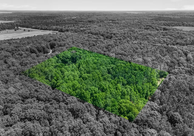 Photo 2 of Land for sale at 33810 Wildberry Ln, Pequot Lakes, MN 56472 | MLS# 7103750 | Listing updated on 2026-09-16