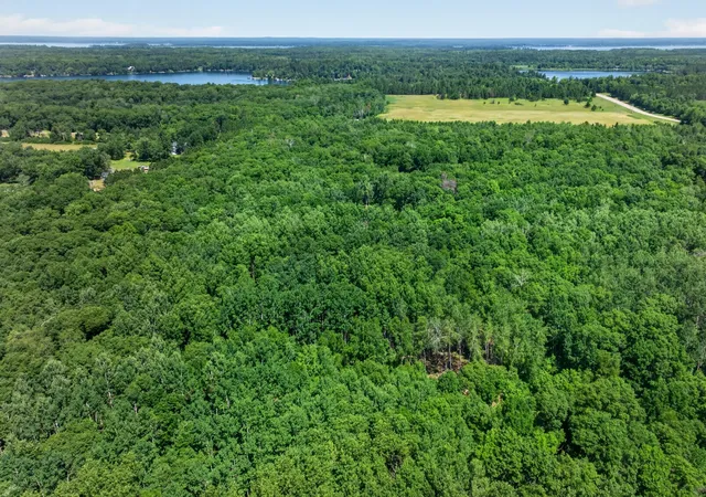 Photo 3 of Land for sale at 33810 Wildberry Ln, Pequot Lakes, MN 56472 | MLS# 7103750 | Listing updated on 2026-09-16